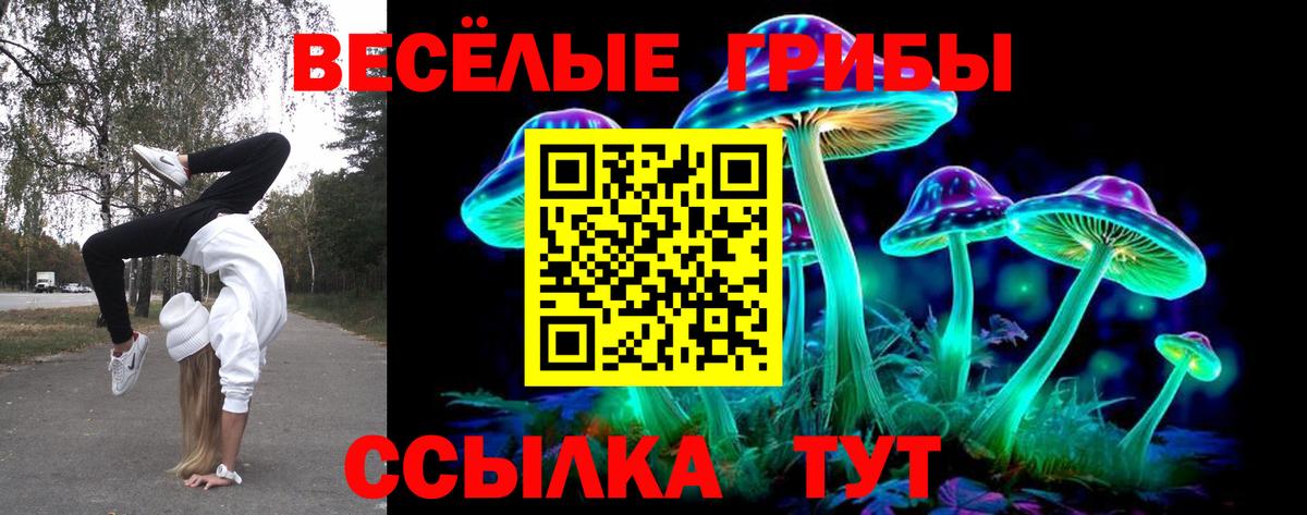 Псилоцибиновые грибы ЛСД Донецк