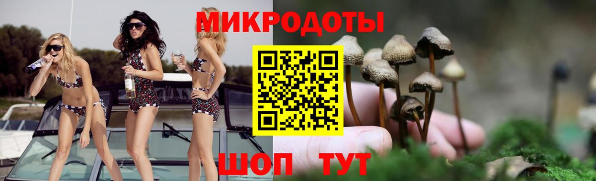 Донецк  Галлюциногенные грибы Psilocybe  наркота  Вход с VPN 